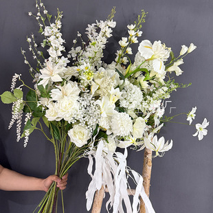 ��c���İ�ɫϵ���滨��픲廨·����õ�彑��ٺ��bٻ�ܛ�b��