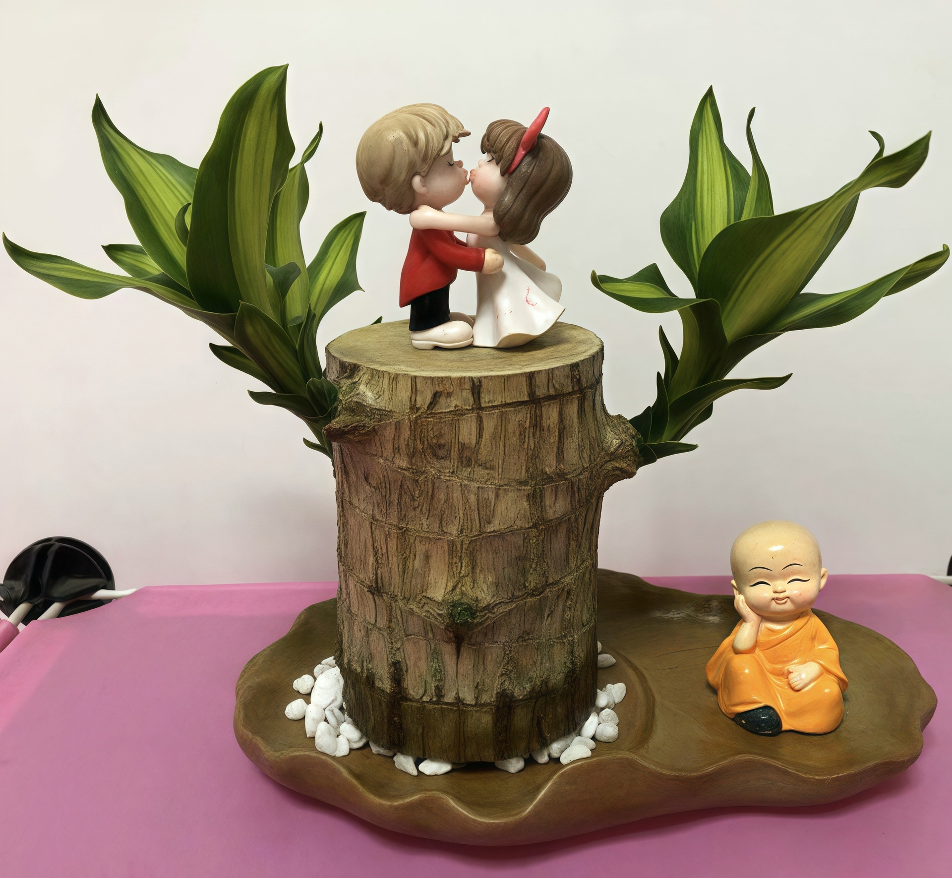 인기 굵은 [빠른 개화 및 발아] 브라질 목재 + 키스 + 작은 스님 + 연잎 대야 / 액체 전달