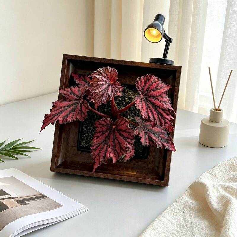 DIY Green Plant Photo Frame: Miniature Creative Potted Ferns, Indoor Flower Arrangement, Flower Pot Photo Frame DIY Green Plant Photo Frame: Miniature Creative Potted Ferns, Indoor Flower Arrangement, Flower Pot Photo Frame