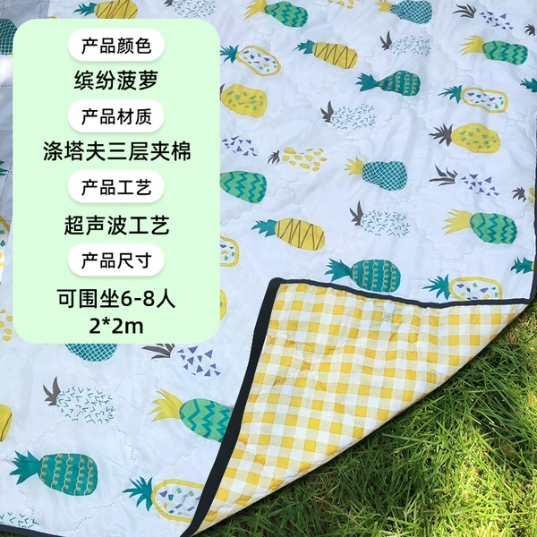 Flagship model (colorful pineapple on the front) 2*2
