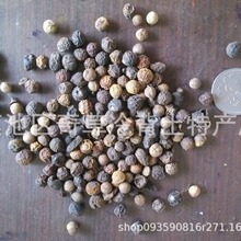 ������,��ľ��,������,����,���l��ș��������,��ș�����