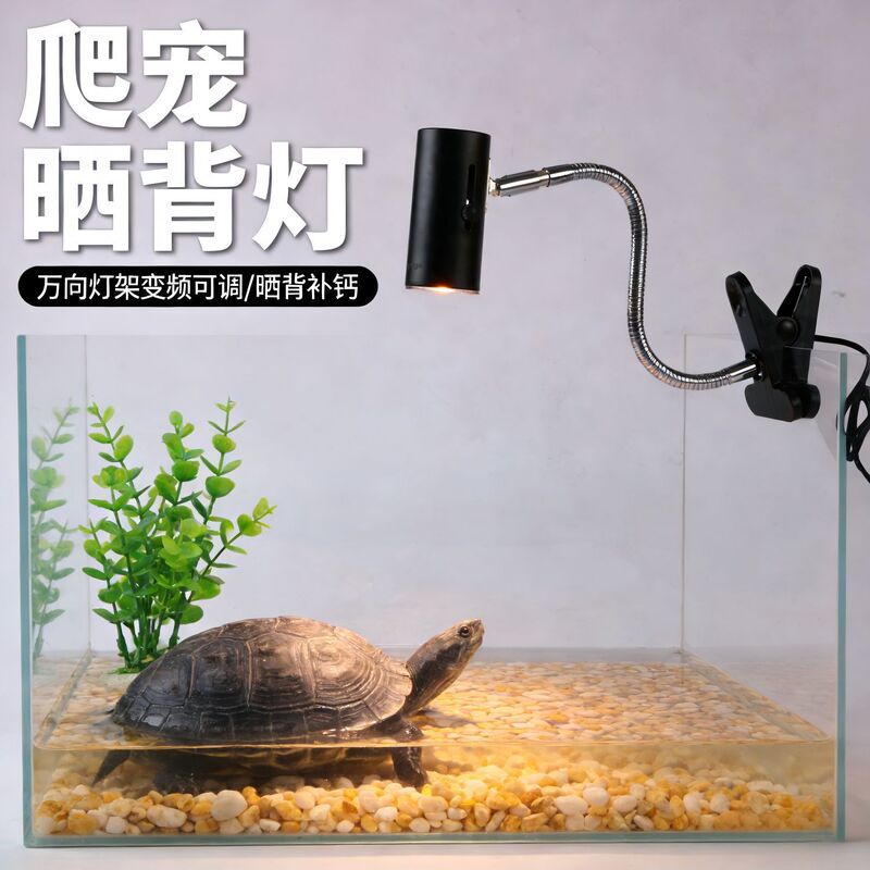 Source Manufacturer Turtle Basking Lamp Climbing Pet Heating Lamp Pet Turtle Special Full Spectrum Heating Lamp Dimming Lamp Stand