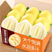正宗梅州蜜柚新鲜白心柚子当季孕妇水果非黄金葡萄柚现摘白肉早柚