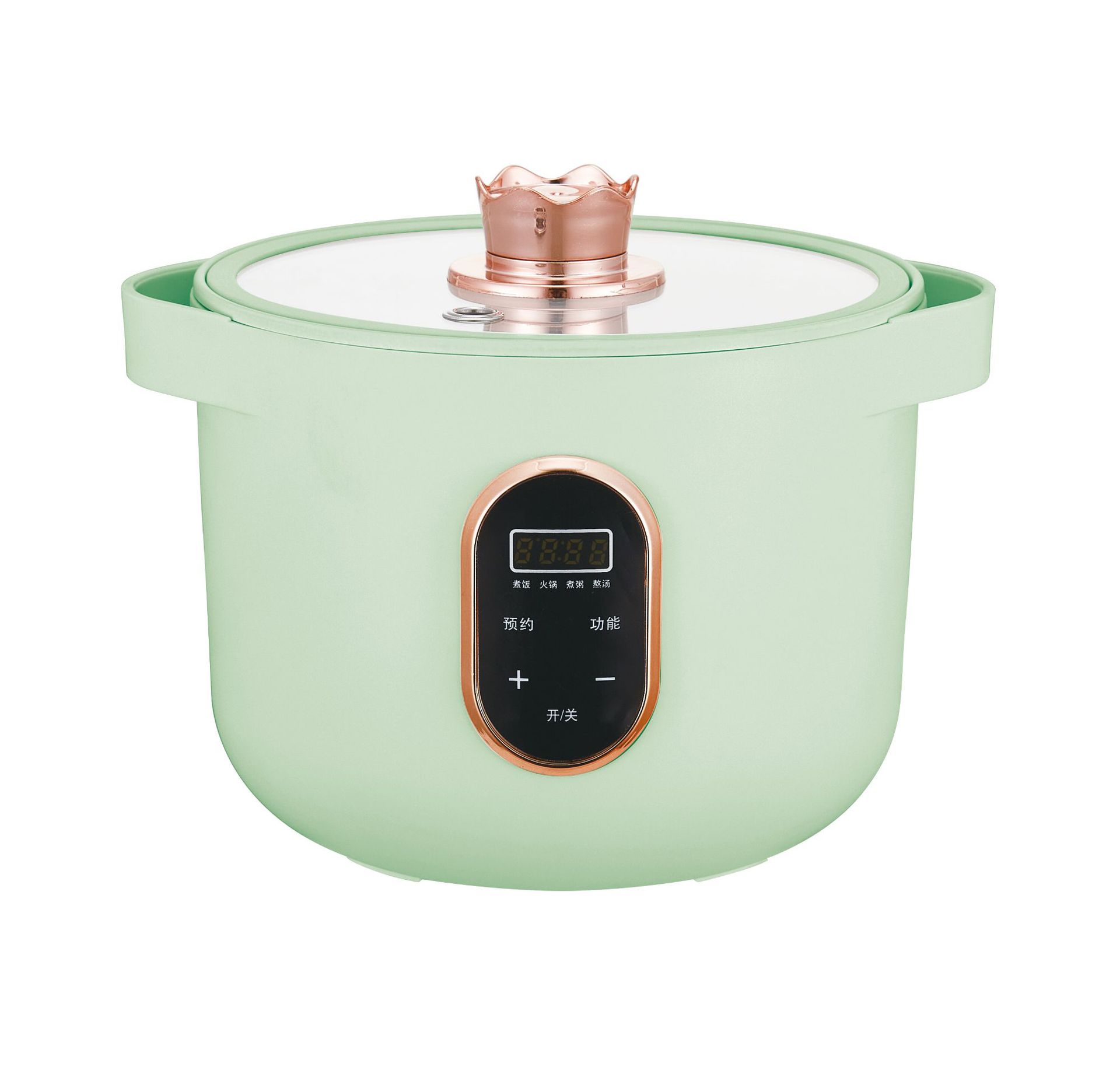 미니 전기밥솥 2.0L (공장 직판 최저가, 대량 구매 시 가격 협의 가능. 공장 최저가 문의는 연락 주세요. 완제품 및 부품 주문 문의 환영합니다.)