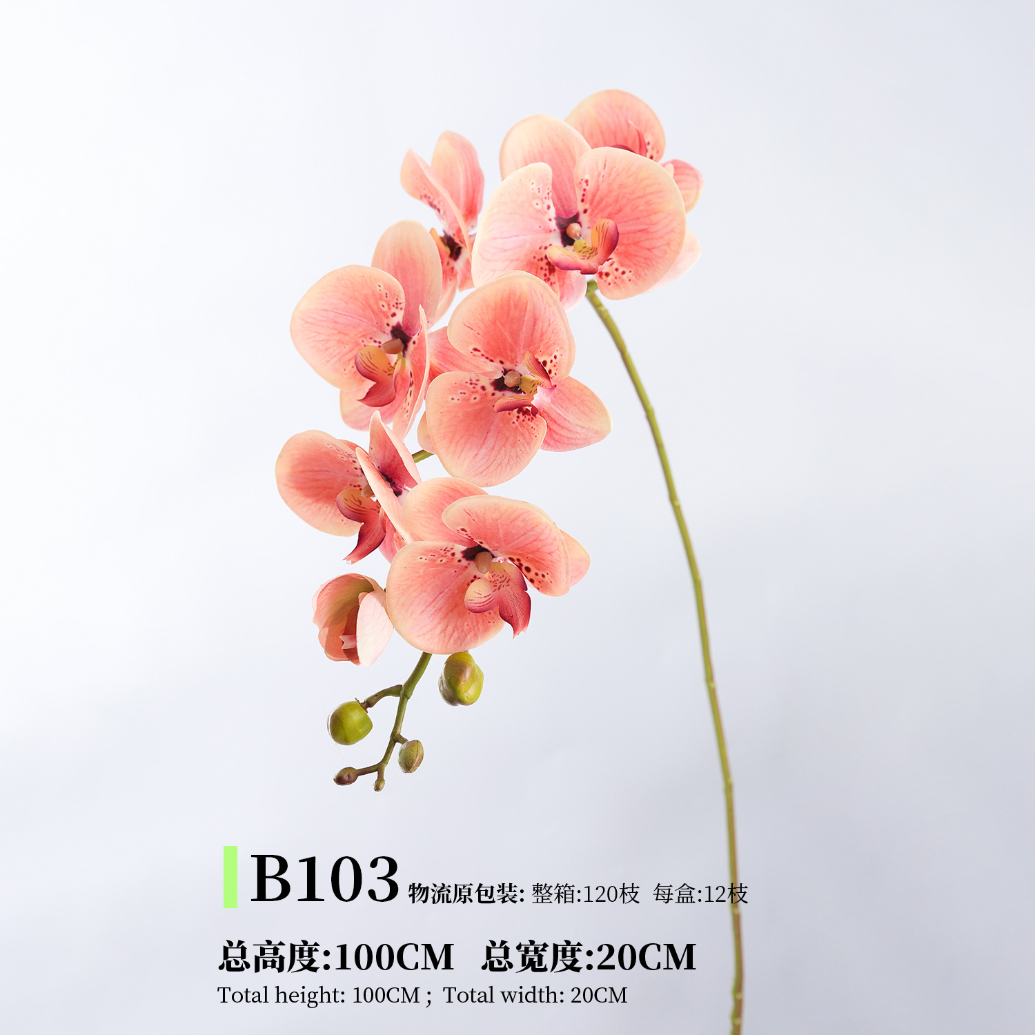 B103