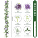 National beauty and heavenly fragrance-purple