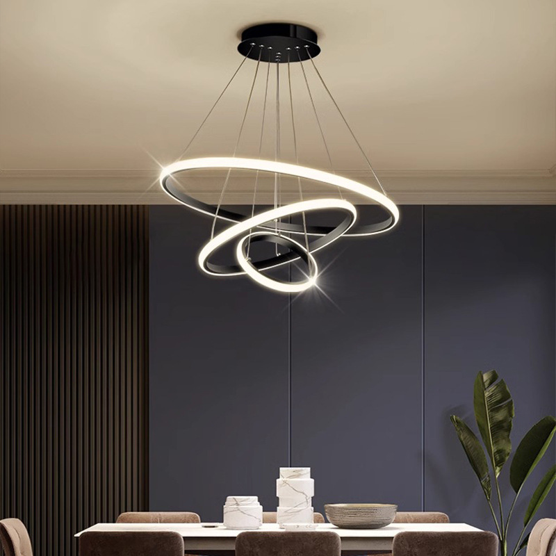 Modern Minimalist and Creative Ring Pendant Light for Restaurant, LED Hallway Chandelier, Suitable for Bedroom