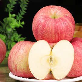 山东烟台红富士苹果9斤新鲜水果当季正宗冰糖心栖霞平果包邮一件