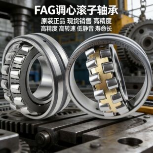 FAG22212 22214-2RS�z���{�ĝL���S��FAG_22216 22217�{���S��