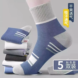 运动休闲棉袜;船袜、隐形袜;其他袜子