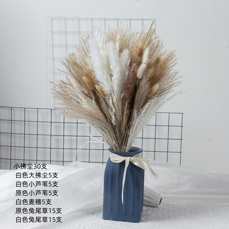 アマゾンはよく売れています。葦の花の花束です。|undefined