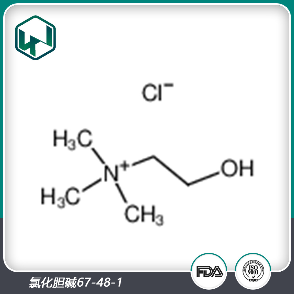 氯化胆碱99%67-48-1厂家现货供应！