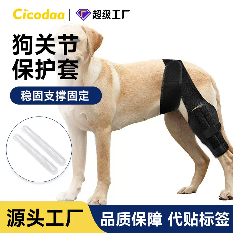 跨境狗腿护膝宠物用品狗腿受伤辅助带防舔恢复绷带狗腿保护套现货
