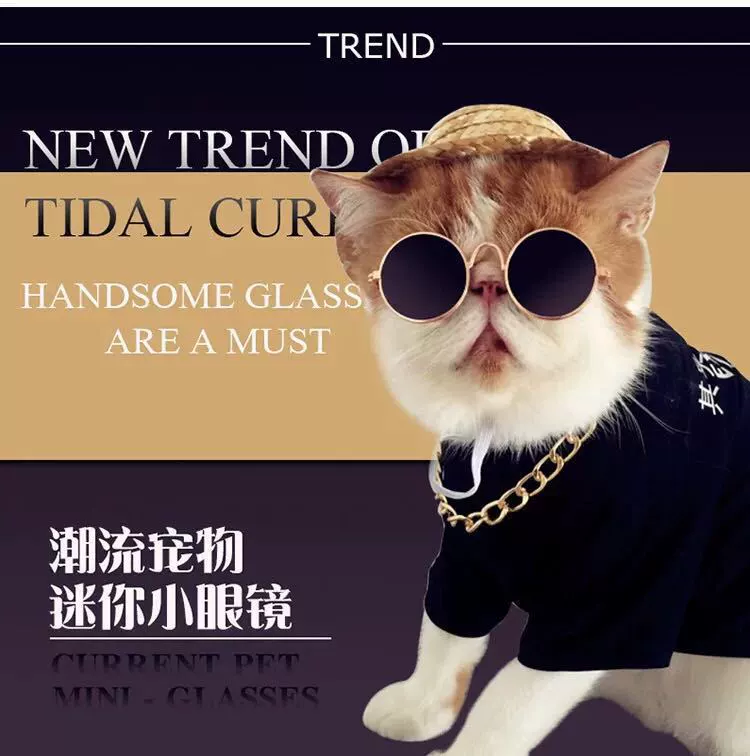 2100177 производители продают собака кошка любимчика очки Творческий тренд игрушка солнцезащитные очки
