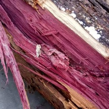 �S�ҳ��깩�� ����ľ ���_�m ������ ԭľ ���