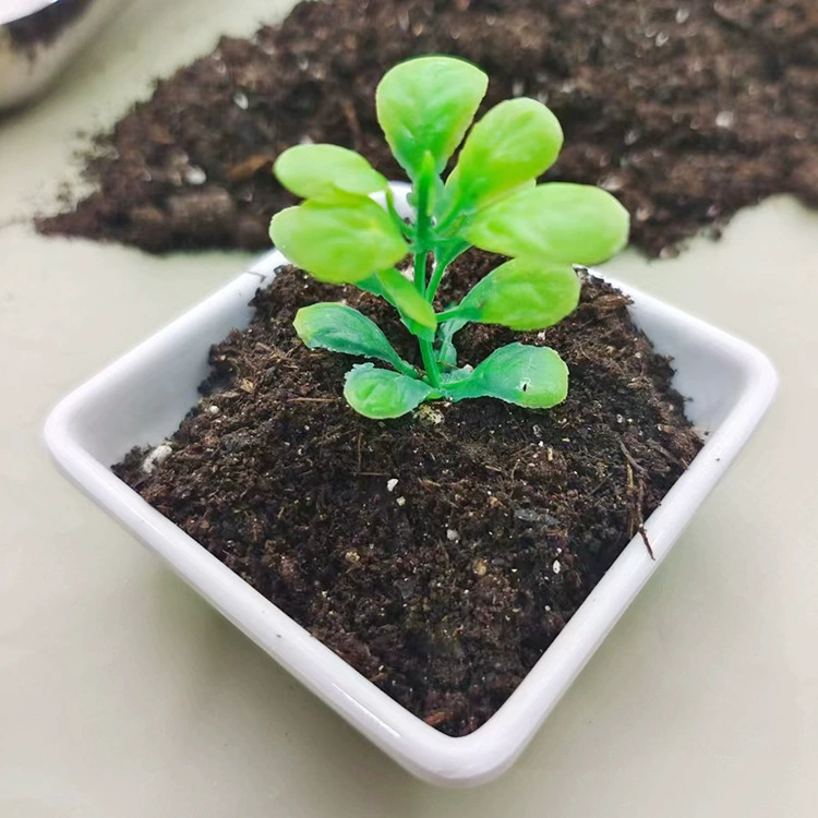 Supply nutrient soil peat moss for flowers planting orchids succulents soil nursery organic soil substrate wholesale