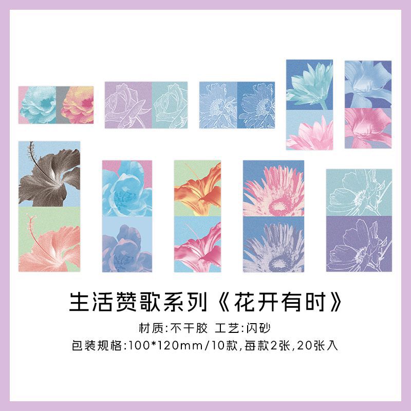 Pegatinas de papel More Pegatinas Flash Sand Paquete de pegatinas Life Himno Arreglo floral Tema de la tienda de mano Pegatinas de película de corte decorativas