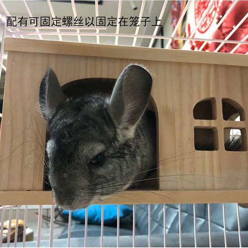 Hamster Hedgehog Cavy Rabbit Small House Squirrel Guinea Pig Golden Hamster Wood House Small Pet Seasonal Supplies