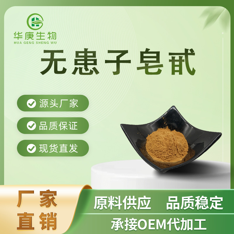 无患子皂甙80% 日化原料 粉 无患子提取 无患子皂甙苷 量大优惠