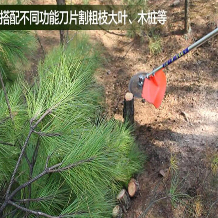 背负式割草机 (9).jpg