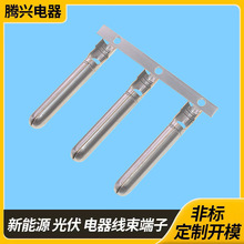 �S��ֱ�����~��a2.4���ͶӰ�x�B�����Դ2.5�~ᘶ���