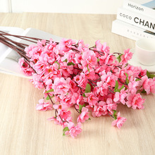 �����һ�֦�b�@�־��^����÷��֦�٘�֦��c�b��ٻ��S�����l