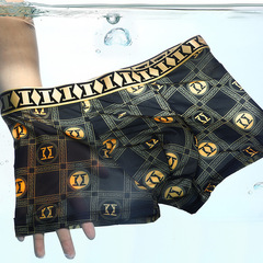 Men's Summer Straight Leg Briefs Ice Silk Thin Breathable Plus Size Trendy Printed Shorts Luxury Shorts Head Wholesale