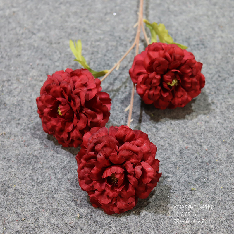 빨간색 3머리 멜라루카 모란