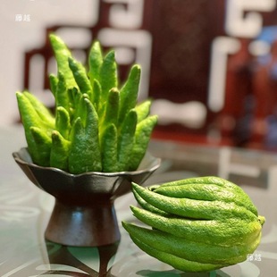 ��ʽ�ŷ��ָ��бP�մ�ˮ�໨ƿ���ֵ�[�ŷ��ֹ��^�p�[����������