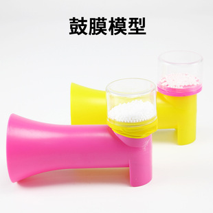 Ear Eardrum Model Principle Demonstrator Visible Sound Toy Kindergarten Science Experiment Early Education Physics