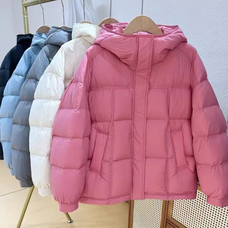 未标题-1_0007_微信图片_20231123153158