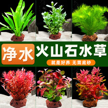 �~��ˮ�ݻ�ɽʯ������ԽM���ײ��B�~����ˮ�|����ˮ������ˮ��