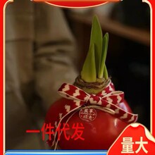 ��������피t��N����ֲ���ȫ�ļ��_���M���ذ�N�������҃Ȼ�