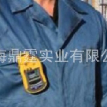 ToxiRAE Pro EC PGM-1860 ����������  �����