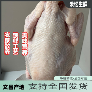 �������Ĳ��n�u�������Ĳ��u���r�����r��ɢ�B�ߵ��u���u��ĬF��