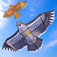 �H�������L�~2025�¿���ˌ���΢�L���w�ߙn�˴��ͳ��ˌ��I�����l