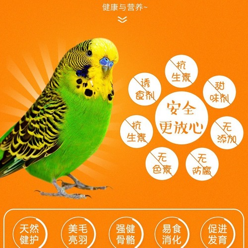 Running Around: Budgie Millet & Seed Bird Food, Peony & Cockatiel Grain, 1200ml Feeder