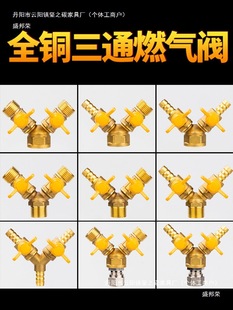 �S��ֱ�Nȫ�~ȼ���y ��Ȼ����ͨ�y�T 4��Y��һ�ֶ�ú��Һ����ܵ�