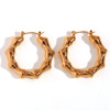 Fashionable retro earrings stainless steel, accessory, European style, 750 sample gold