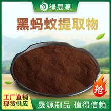 黑蚂蚁提取物 30:1水溶性黑蚂蚁粉 拟黑多刺蚁提取物原料 1kg起订