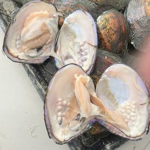 Natural River Pearls from Live Clams, Fresh Water Pearls, Abundant Freshwater Pearls