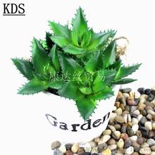 �����ָж���ֲ������������ ������� С���Է���ֲ���쾰