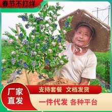 һl{ݮ玧{ݮϱNֲش̨Ԙ