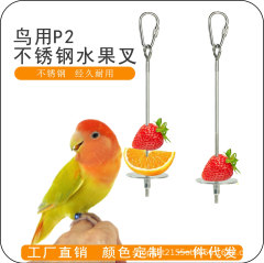 オウムステンレス果物フォーク野菜フック果物給餌器ペット玩具鳥かご部品鳥用品