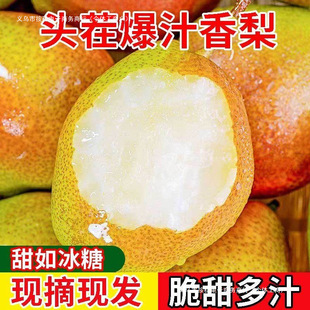 ����t��������Įa�^����/�����rˮ��������]�a��ֱ������