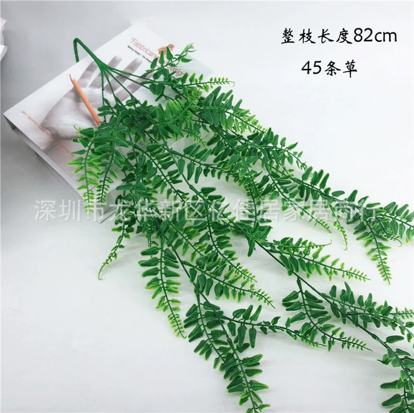 45 Mei Persian grass wall hanging vine