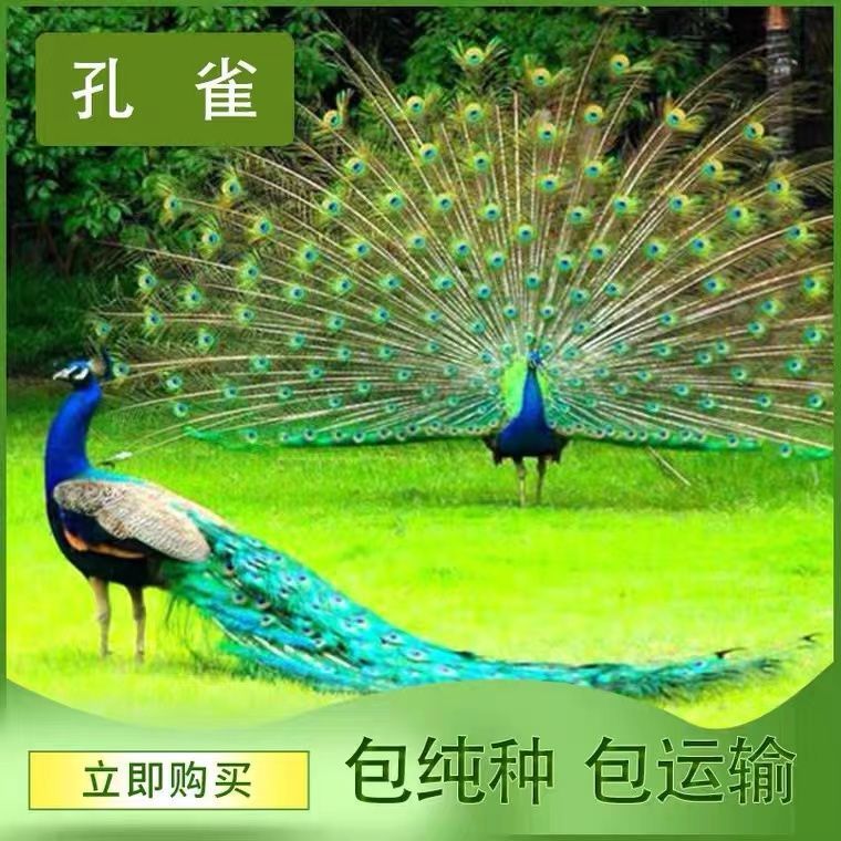 b866968b-3c4b-44bd-bddb-0b74fe