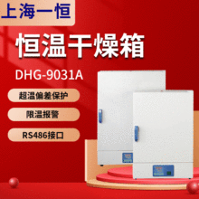 ϺһaDHG-9031AȻaظ 늟aظ