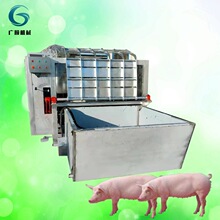 ���i��ë�C ���iÓë�C �i��ë�C�Ԅ�Һ���ư� ţ�H������ˮ��