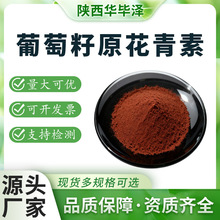 葡萄籽原花青素95% 优质葡萄籽提取物 水溶性 厂家直销现货